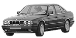 BMW E34 P1118 Fault Code
